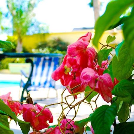 Golden Sands Hotel كرايست تشيرش المظهر الخارجي الصورة